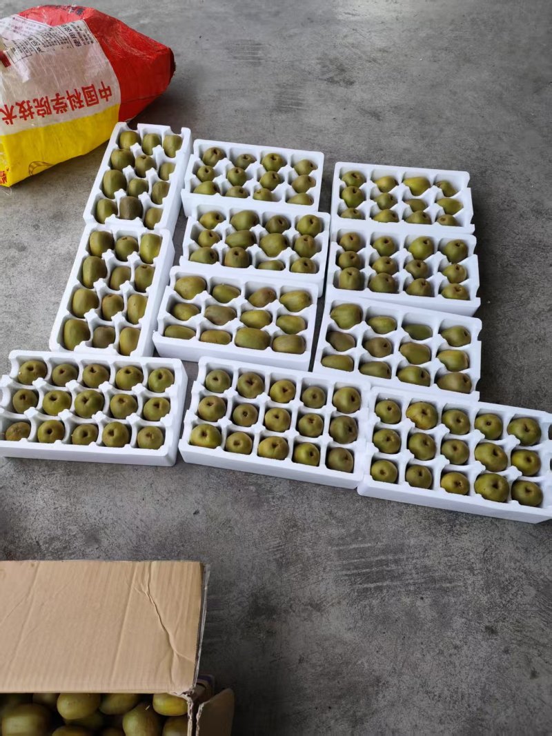 红心果