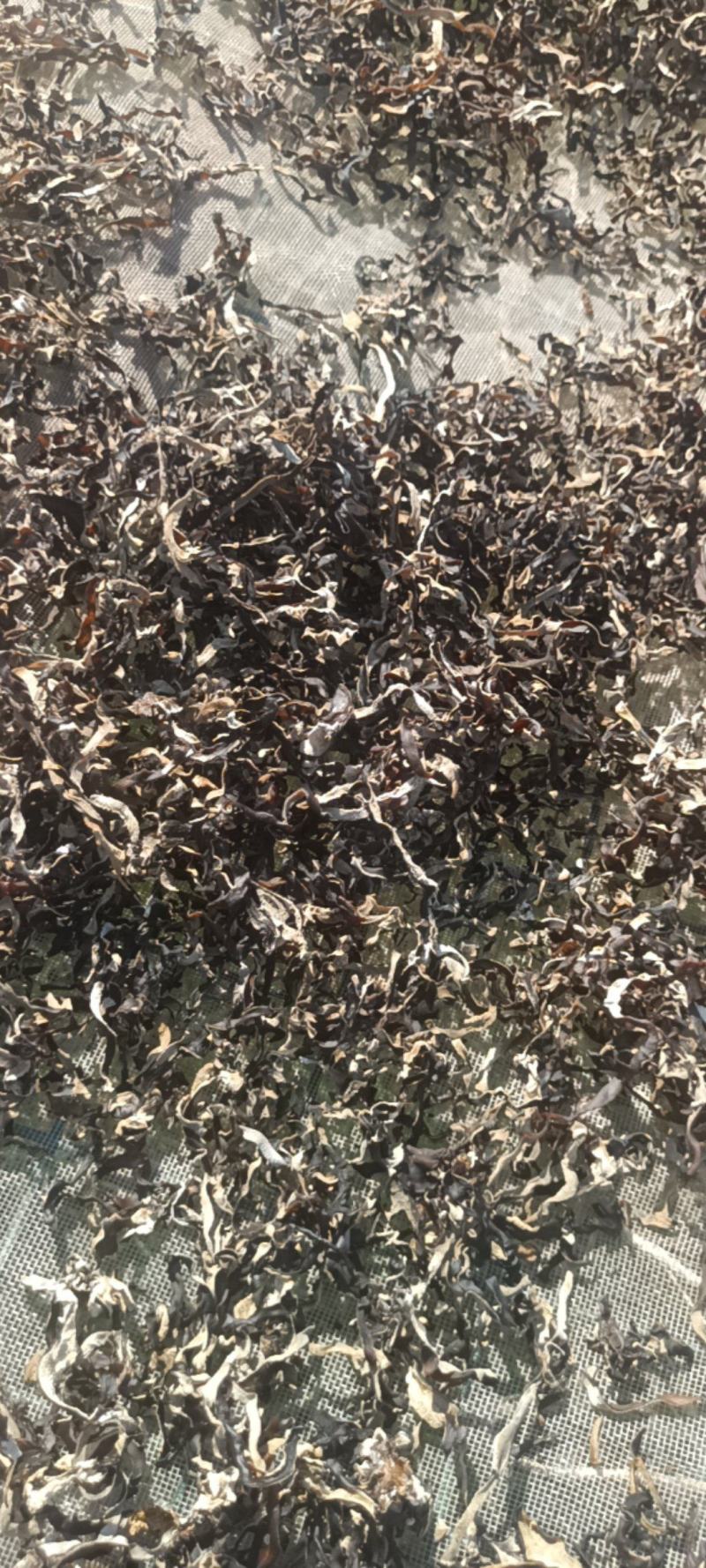 电商直发木耳丝干木耳丝生产厂家二茬精选木耳丝剪根木耳丝丝
