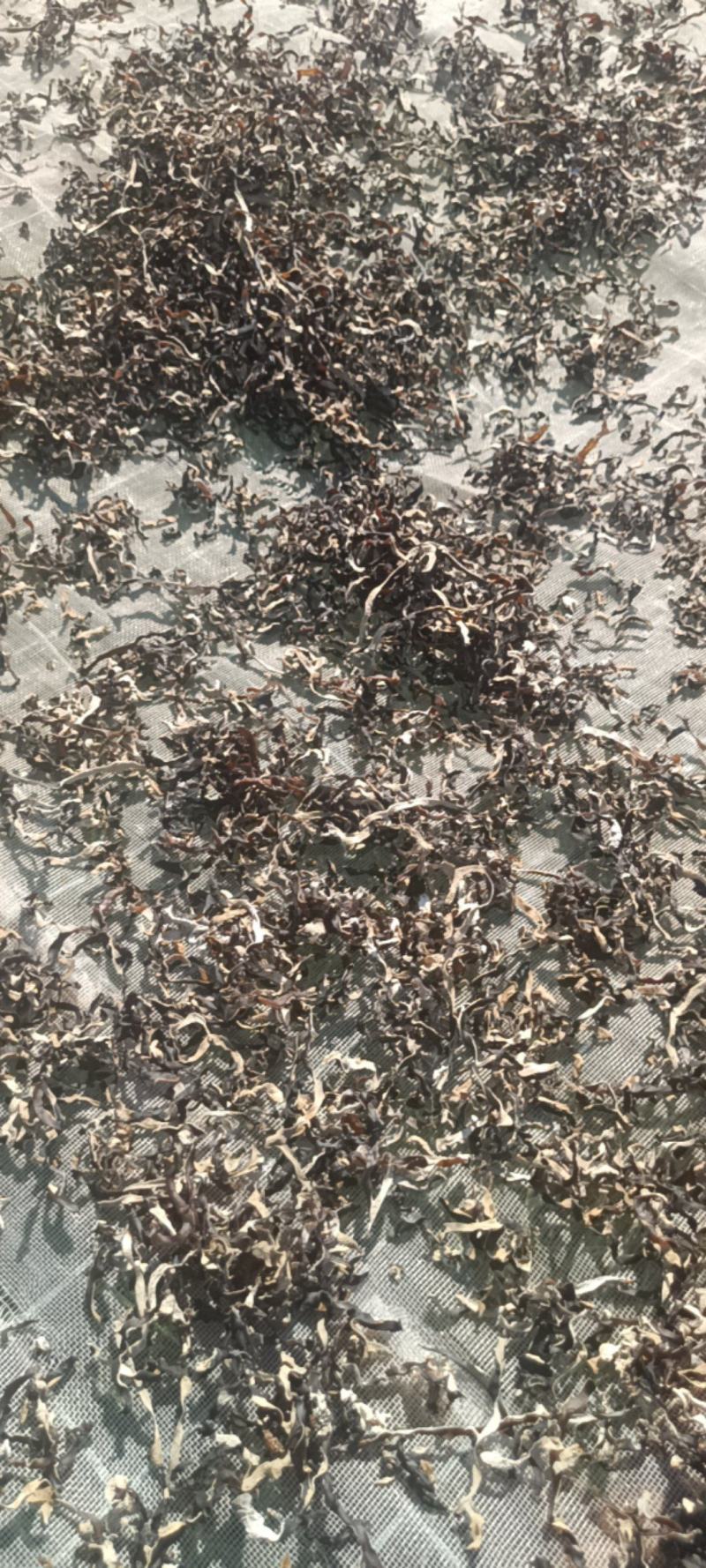 电商直发木耳丝干木耳丝生产厂家二茬精选木耳丝剪根木耳丝丝