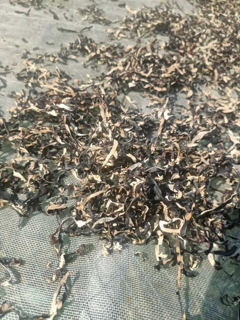 电商直发木耳丝干木耳丝生产厂家二茬精选木耳丝剪根木耳丝丝