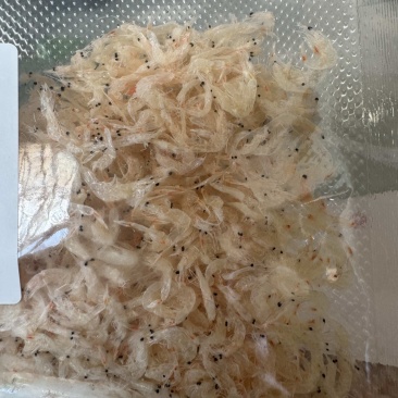 虾皮，淡干虾皮，干度好，电商，团购适合