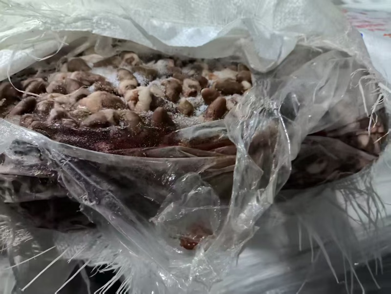 鸡心，超低价出货，价格超级合适，要的老板来。