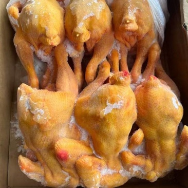 各个规格黄油鸡
