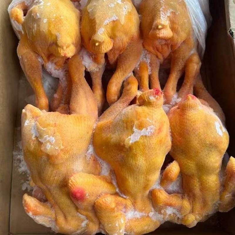 各个规格黄油鸡