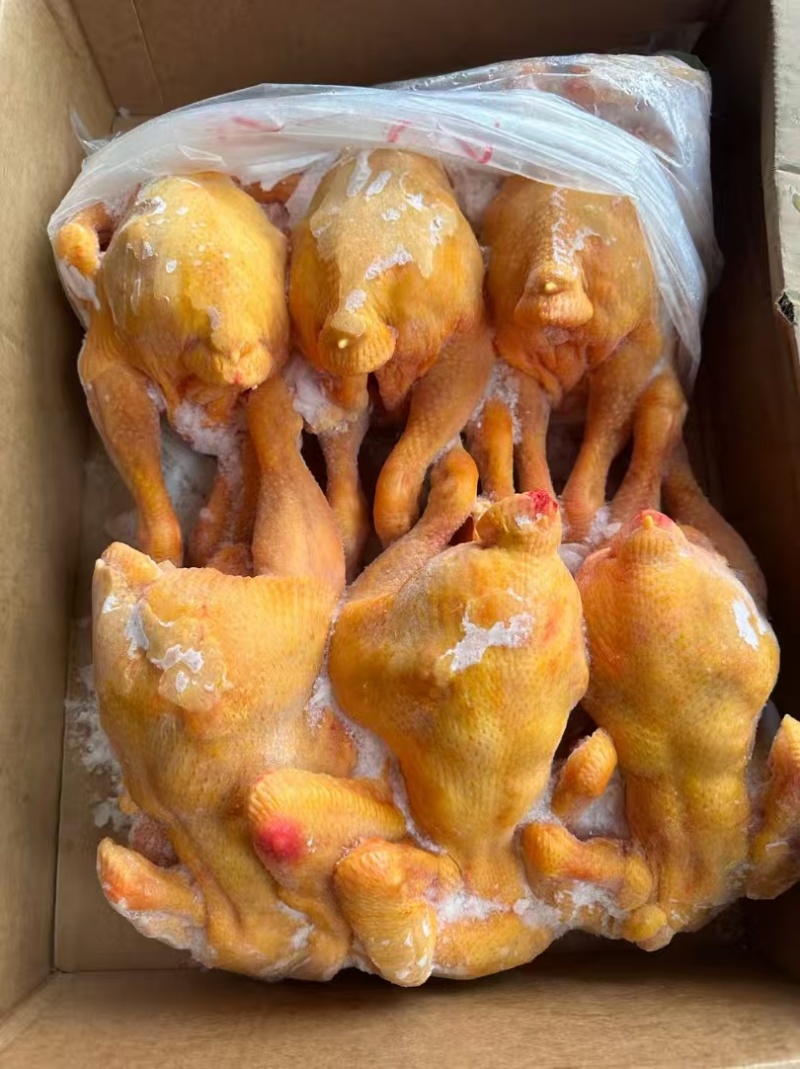 各个规格黄油鸡