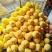 黄桃四川锦绣黄桃大量上市，香甜可口产地直销欢迎来电咨询