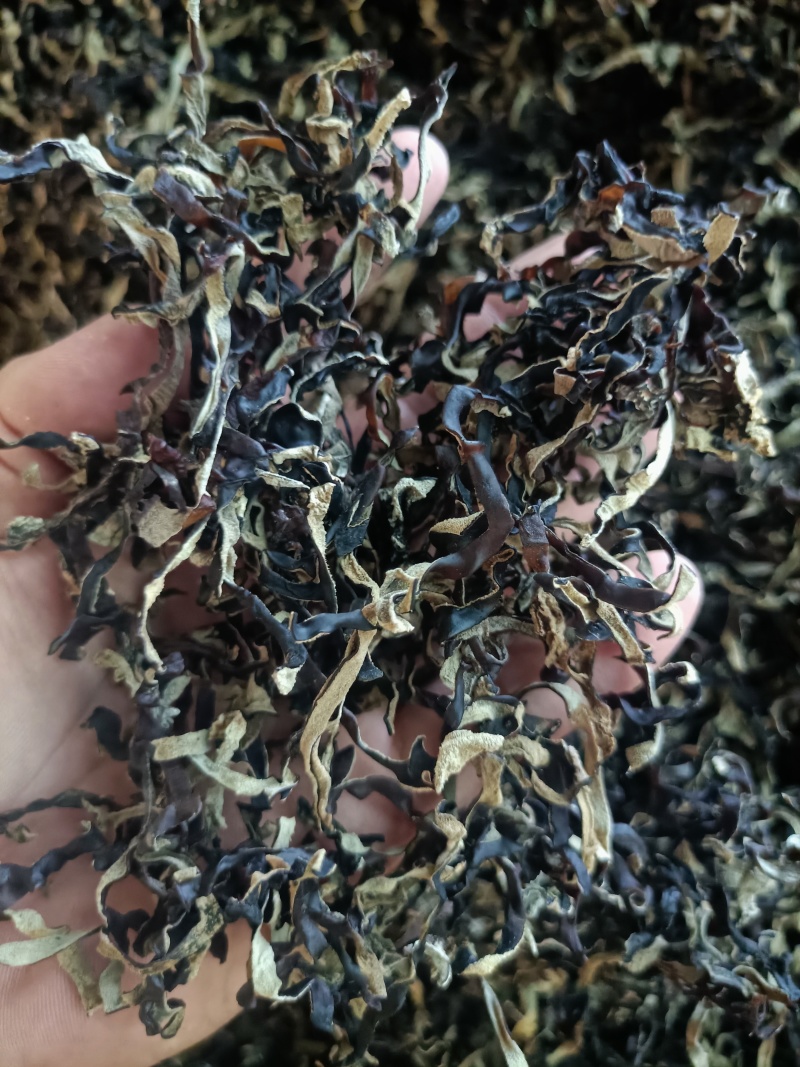 木耳丝电商用头茬木耳丝二茬木耳丝干木耳丝精品木耳丝好木耳