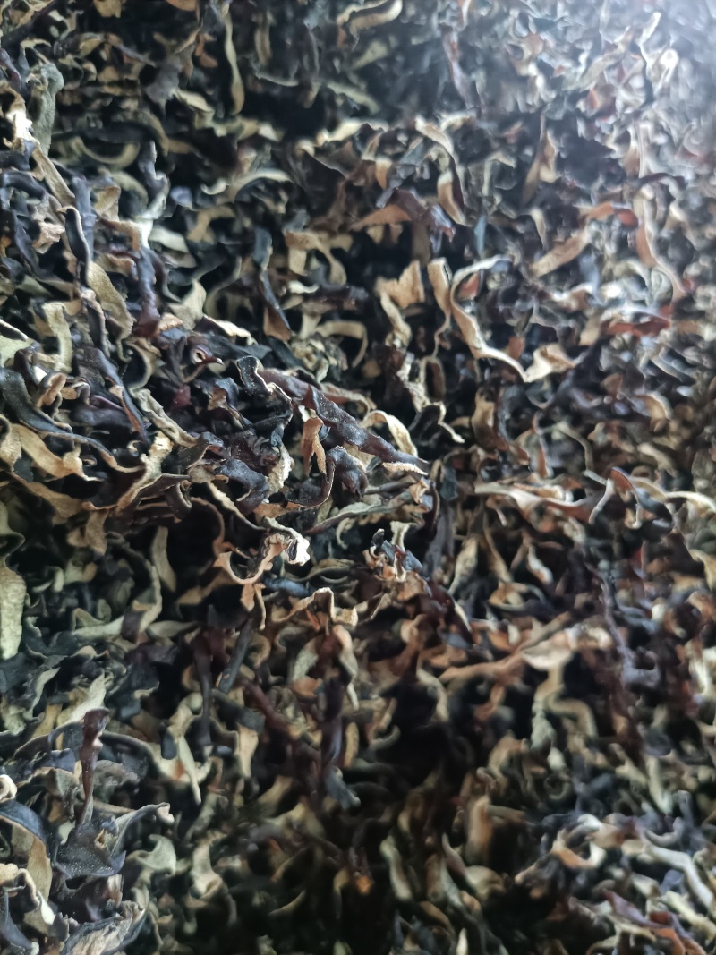 木耳丝电商用头茬木耳丝二茬木耳丝干木耳丝精品木耳丝好木耳