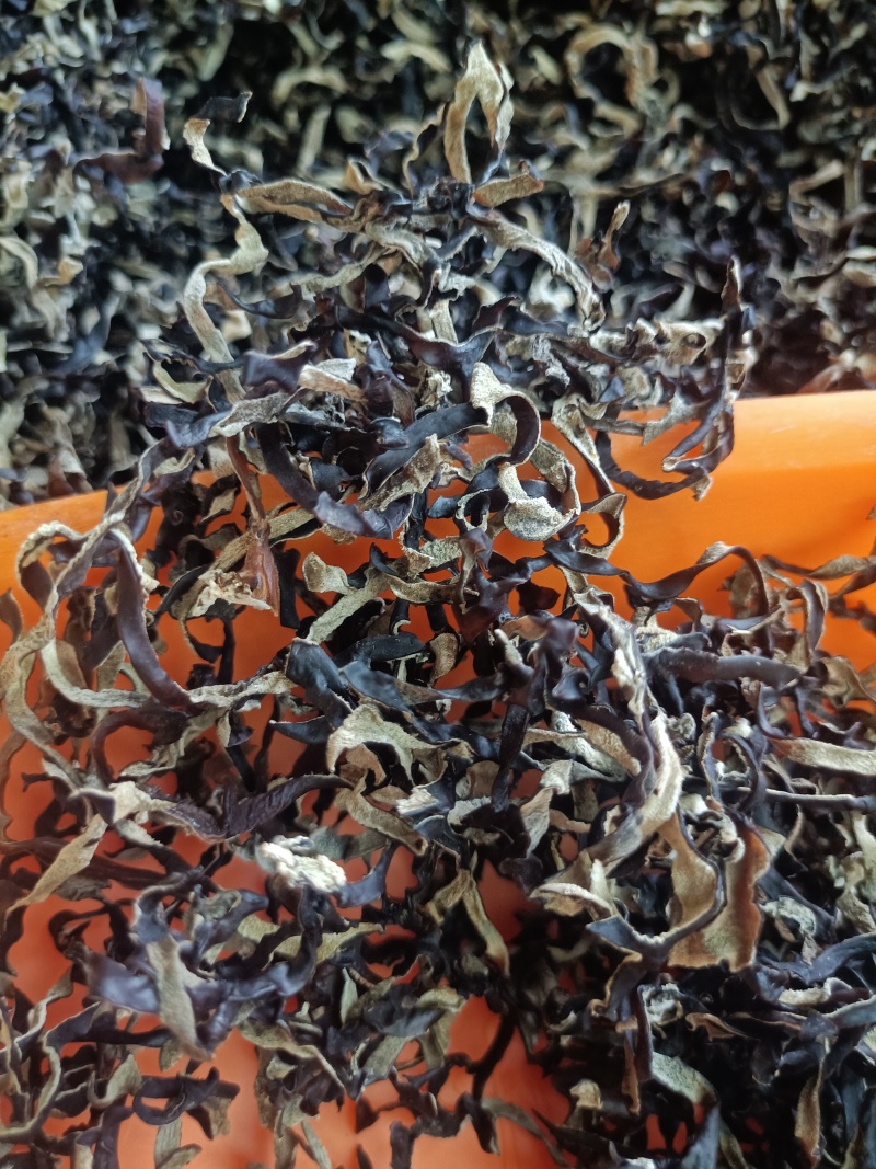木耳丝电商用头茬木耳丝二茬木耳丝干木耳丝精品木耳丝好木耳