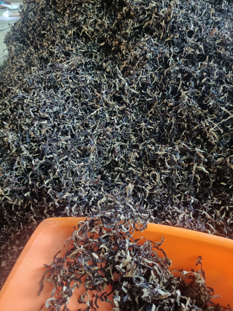 木耳丝电商用头茬木耳丝二茬木耳丝干木耳丝精品木耳丝好木耳