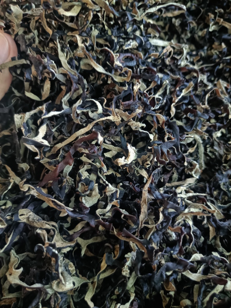 木耳丝电商用头茬木耳丝二茬木耳丝干木耳丝精品木耳丝好木耳