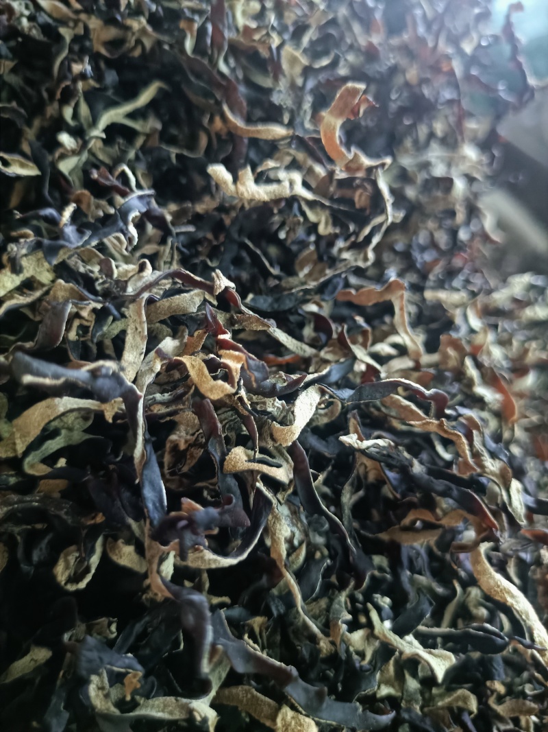 木耳丝电商用头茬木耳丝二茬木耳丝干木耳丝精品木耳丝好木耳