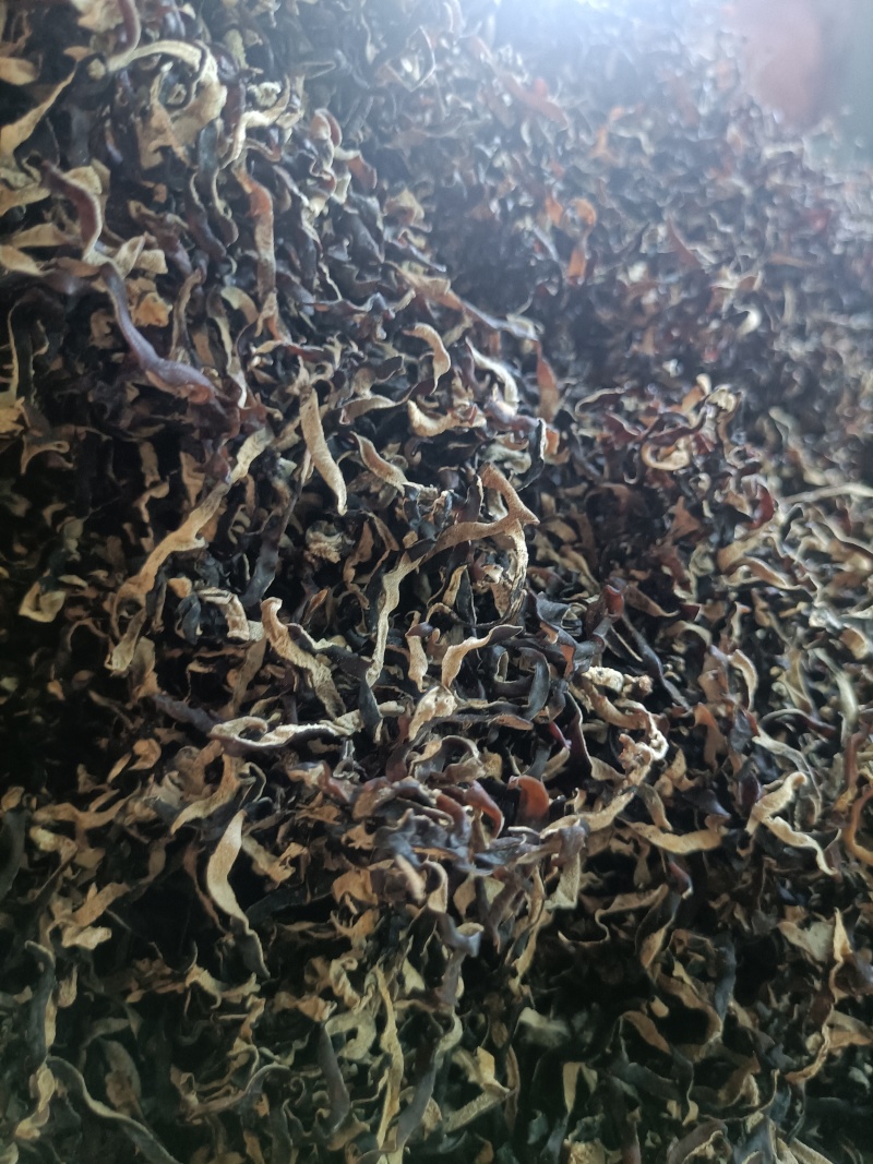 木耳丝电商用头茬木耳丝二茬木耳丝干木耳丝精品木耳丝好木耳