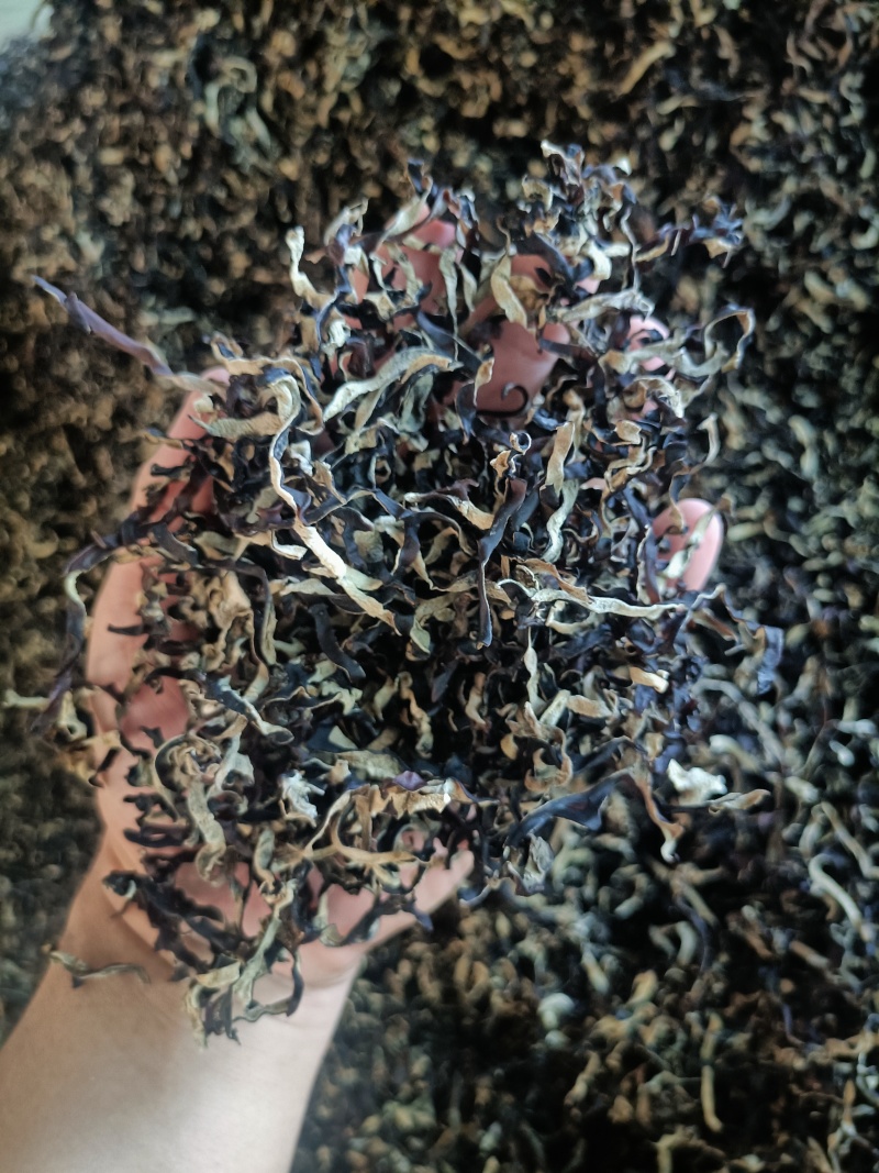 木耳丝电商用头茬木耳丝二茬木耳丝干木耳丝精品木耳丝好木耳