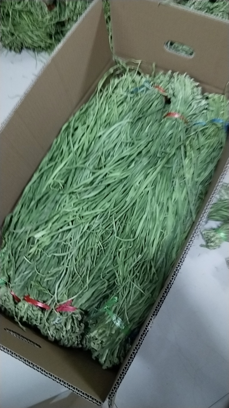 贡菜干云南优质贡菜干厂家直发量大价优质量保证
