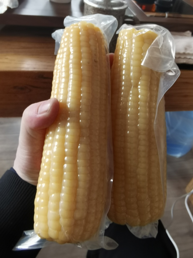 速冻鲜食玉米真空鲜食玉米