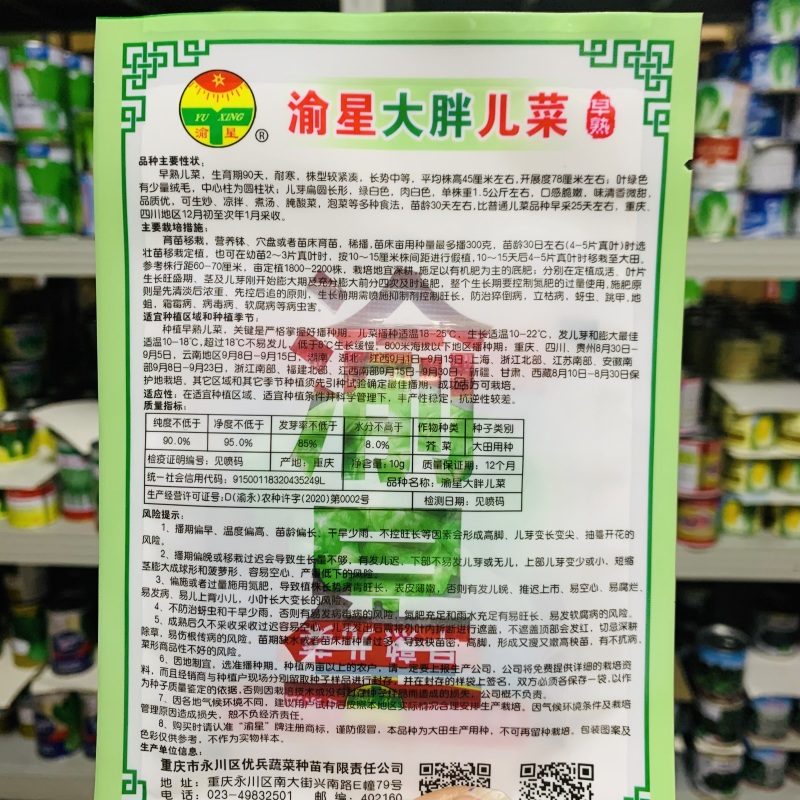 渝早大胖儿菜种子秋播早熟耐寒脆嫩炒食腌制芥菜种籽南方蔬菜