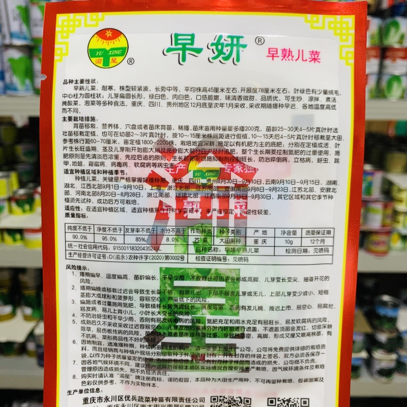 渝早大胖儿菜种子秋播早熟耐寒脆嫩炒食腌制芥菜种籽南方蔬菜