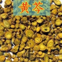 黄芩源头货源大货批发一斤中药材黄芩黄岑正品黄芹片黄芩