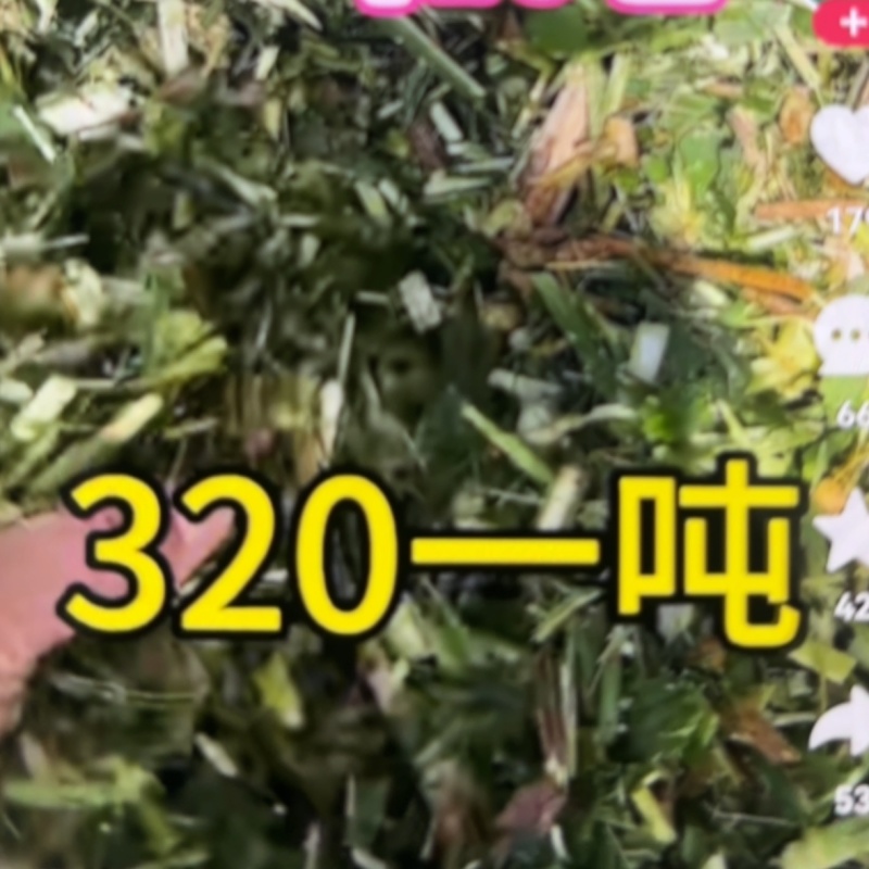 大量招收青储客户
