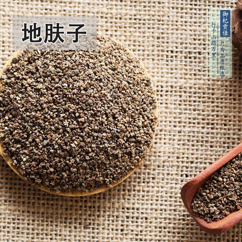 红色地肤种子扫帚草种子花卉种子庭院观赏红草坪种子