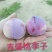 吉盛桃李树苗，晚红，晚黄李子树苗