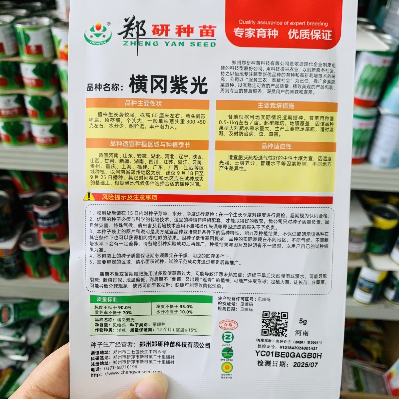 紫玉玫瑰水果洋葱种子中熟紫红洋葱种子辣味少有甜味洋葱圆葱