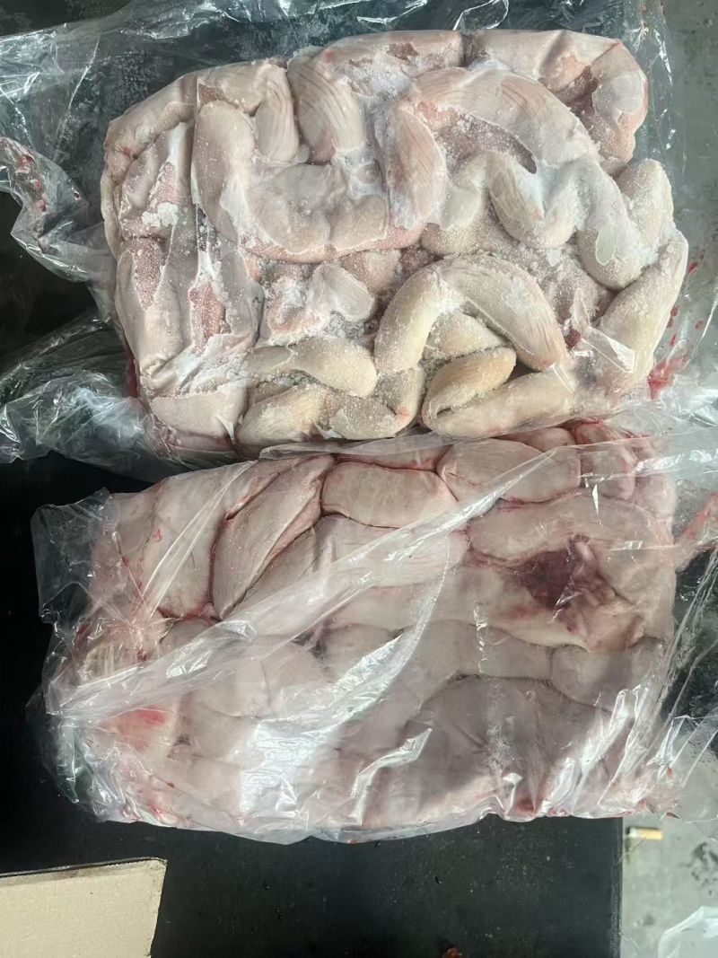 母猪小花