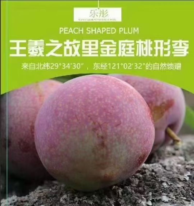 玉米