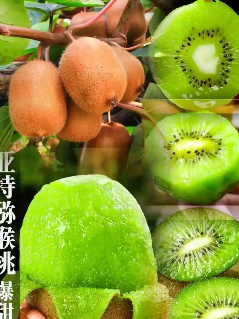 玉米