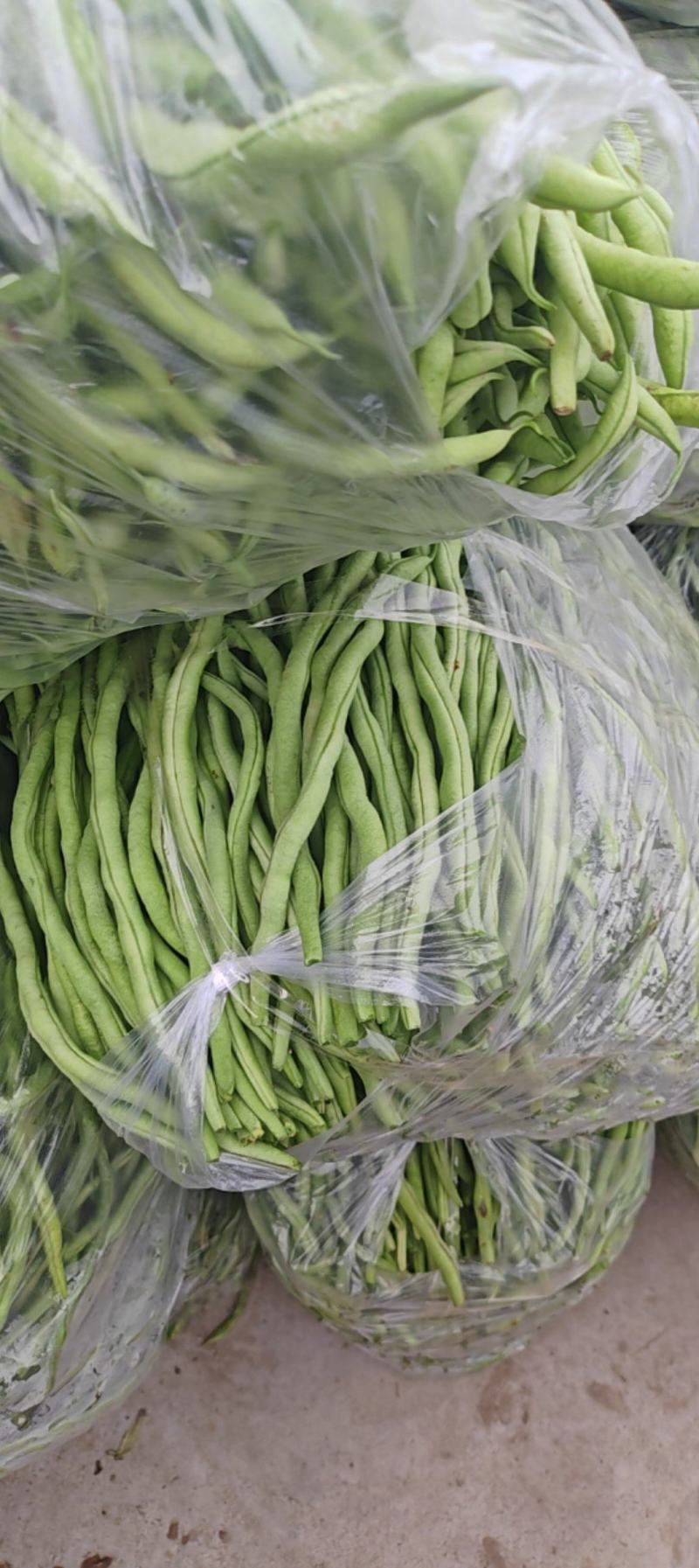 干货场的豆角便宜