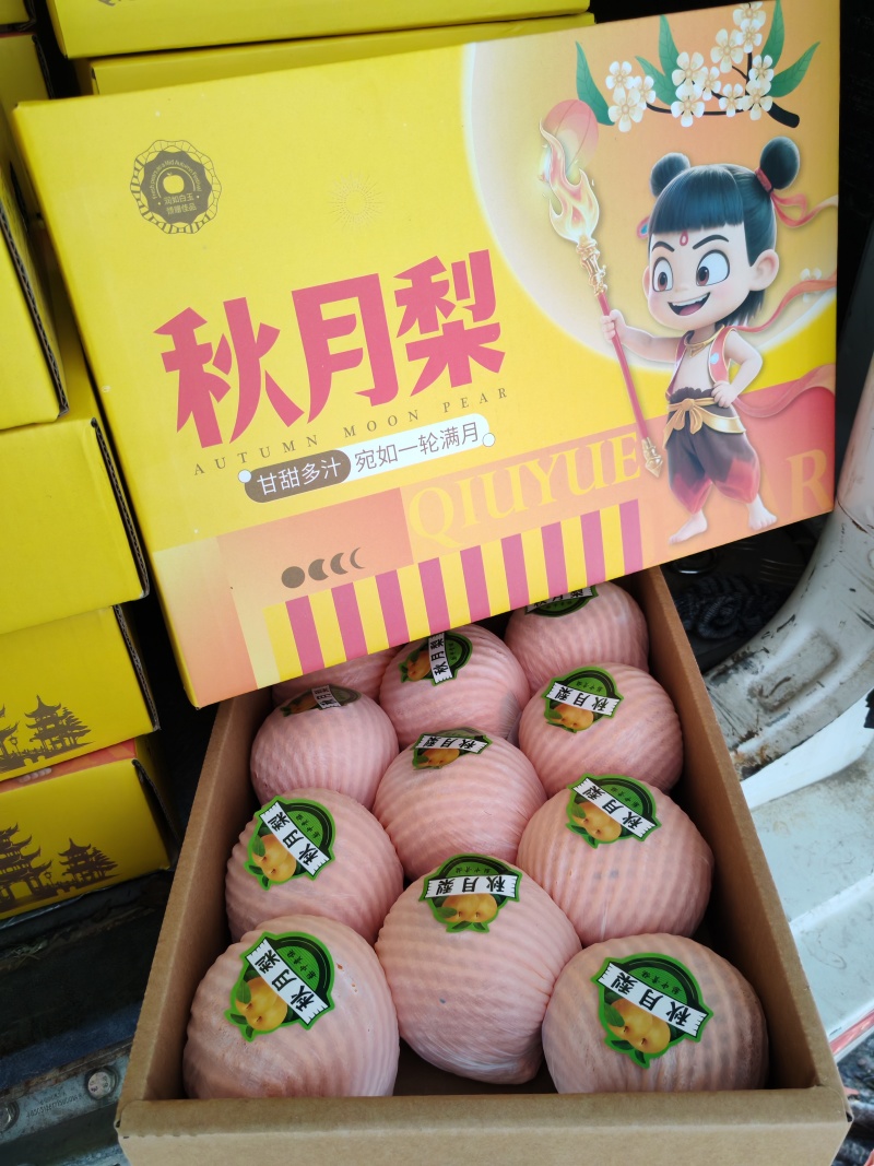 砀山秋月梨一手货源产地直发供应市场电商商超