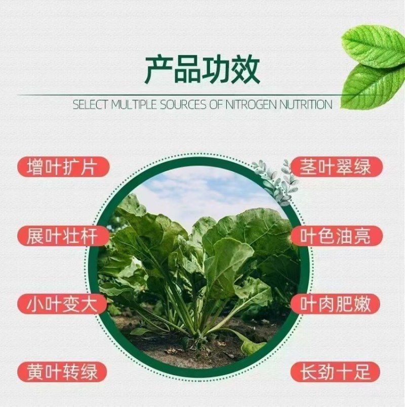 利叶(叶菜)含氨基酸水溶肥料5kg/桶