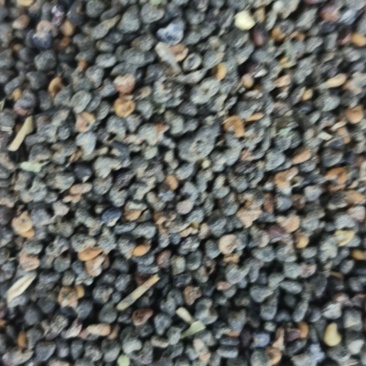 茼麻子