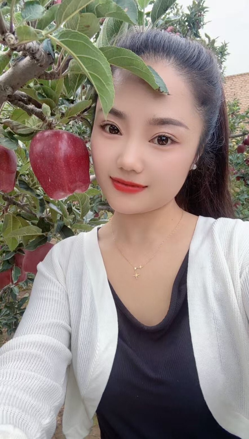 【精选】甘肃花牛苹果口感细腻无残渣产地直发诚信经营