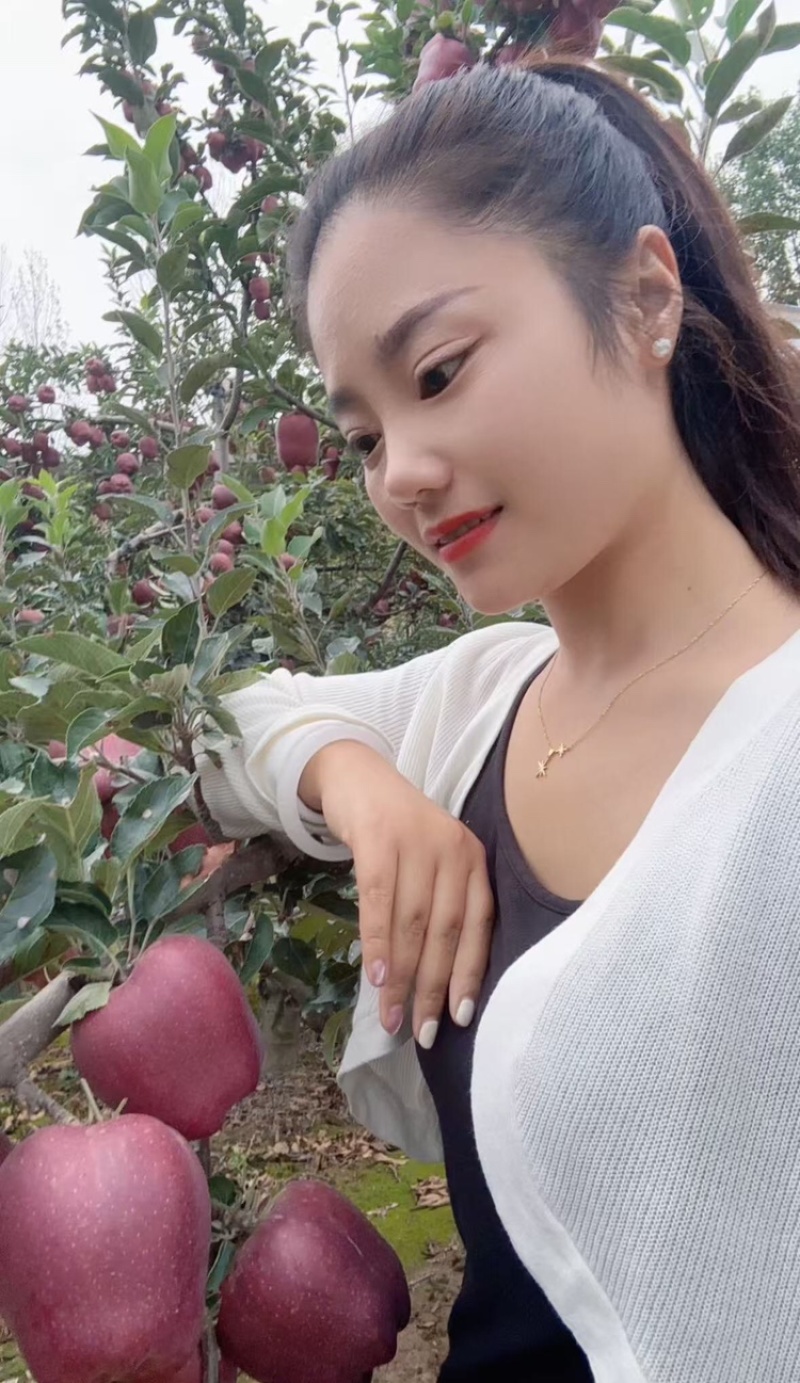 【精选】甘肃花牛苹果口感细腻无残渣产地直发诚信经营