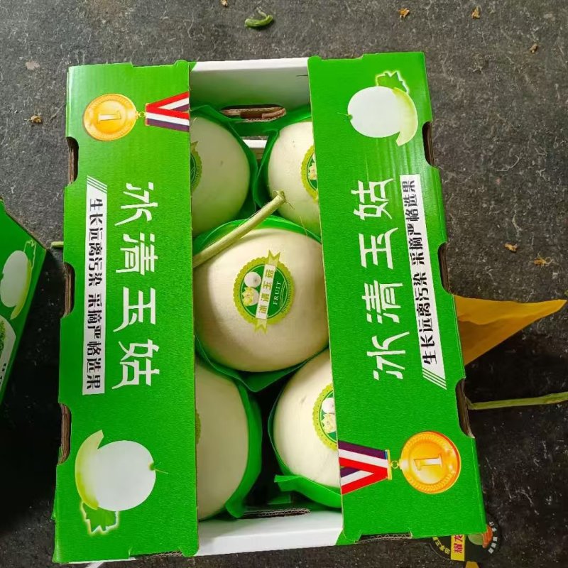 玉姑甜瓜绿肉白瓜正圆奶香蜜瓜产地量大大棚定货口感好