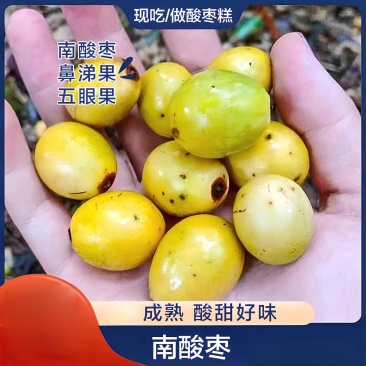 南酸枣、四眼果、五眼果、鼻涕果（青果、黄果）