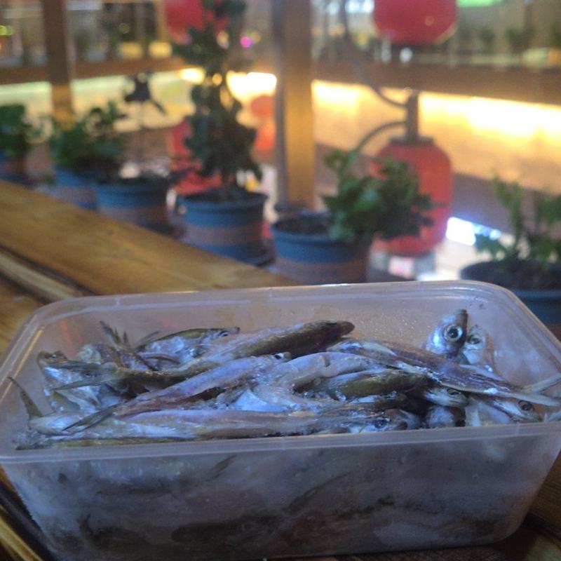生鲜蓝刀鱼