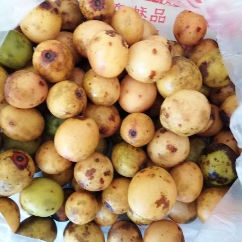 南酸枣、四眼果、五眼果、鼻涕果（青果、黄果）