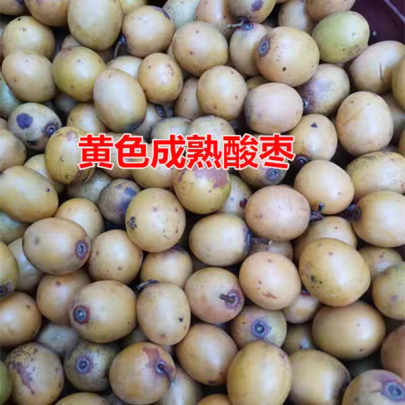 南酸枣、四眼果、五眼果、鼻涕果（青果、黄果）
