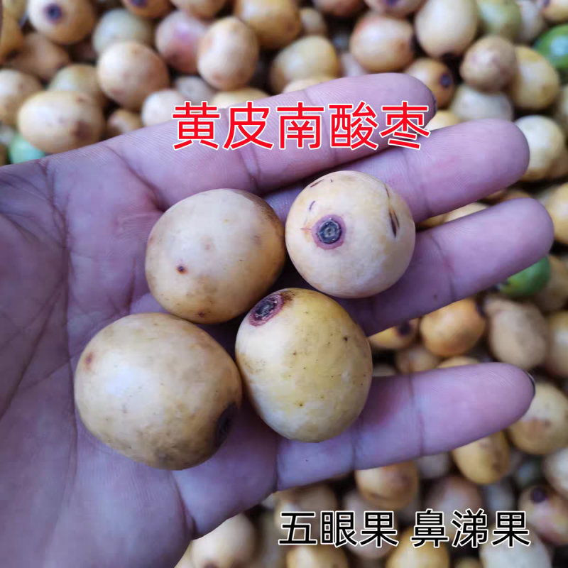 南酸枣、四眼果、五眼果、鼻涕果（青果、黄果）