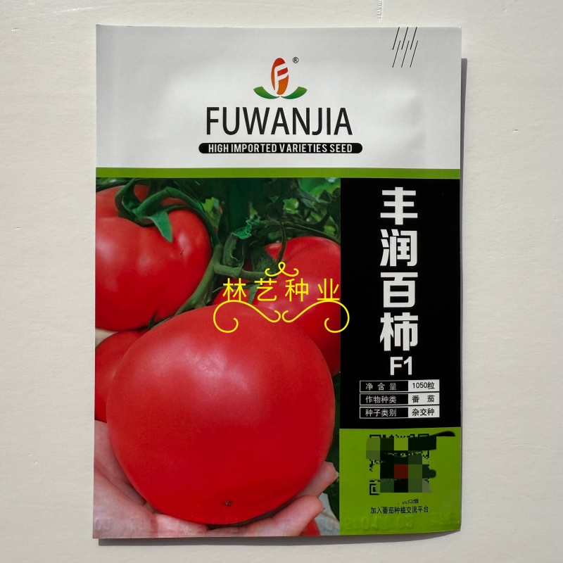 丰润百柿番茄种子无限生长型粉红大果西红柿种籽早熟抗病硬果