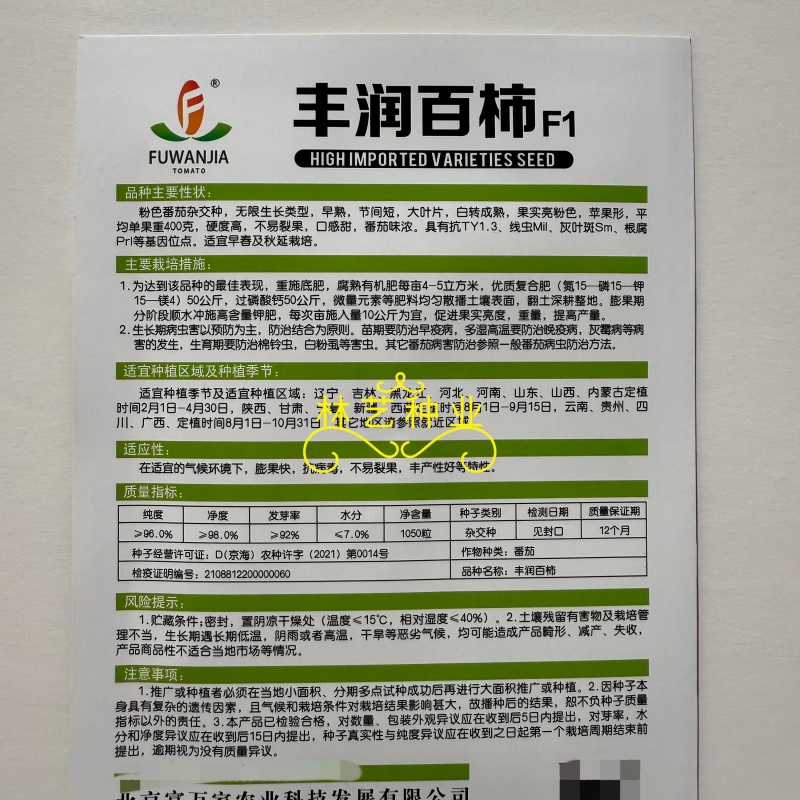 丰润百柿番茄种子无限生长型粉红大果西红柿种籽早熟抗病硬果