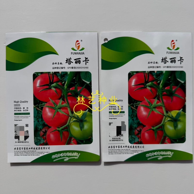 丰润百柿番茄种子无限生长型粉红大果西红柿种籽早熟抗病硬果