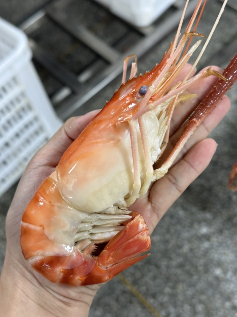 液氮速冻蒸煮大虾原产地直发罗氏虾大头虾6-8规格