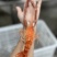 液氮速冻蒸煮大虾原产地直发罗氏虾大头虾6-8规格