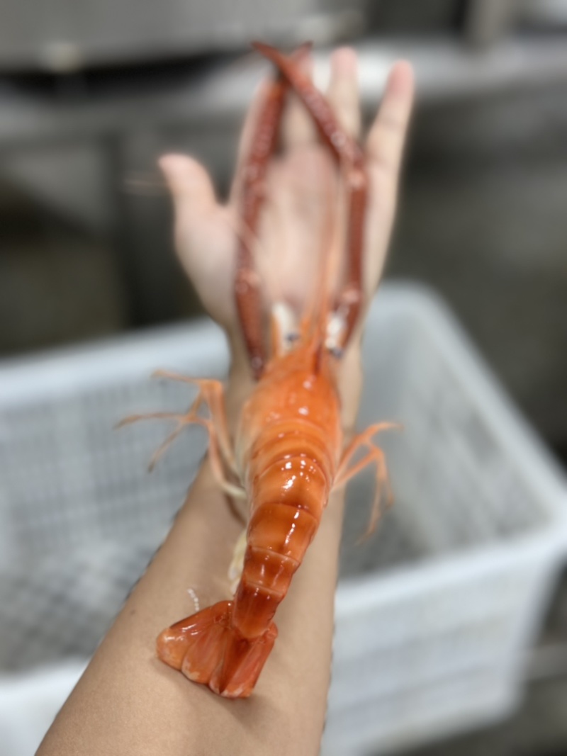 液氮速冻蒸煮大虾原产地直发罗氏虾大头虾6-8规格