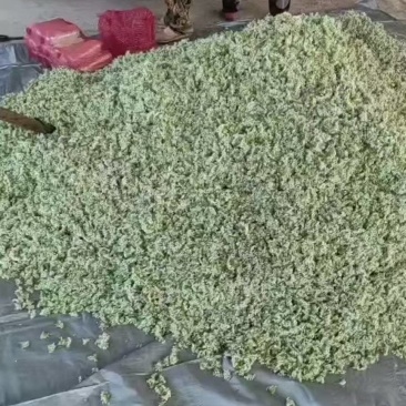 韭菜花
