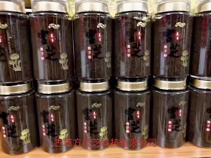 正宗金边灵芝产地批发价优电商供货泡茶泡酒煲汤菌香浓郁